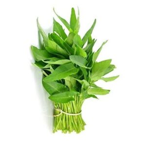 Kangkung